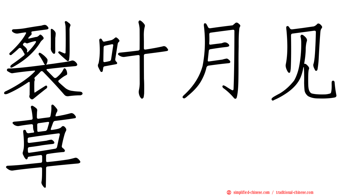 裂叶月见草