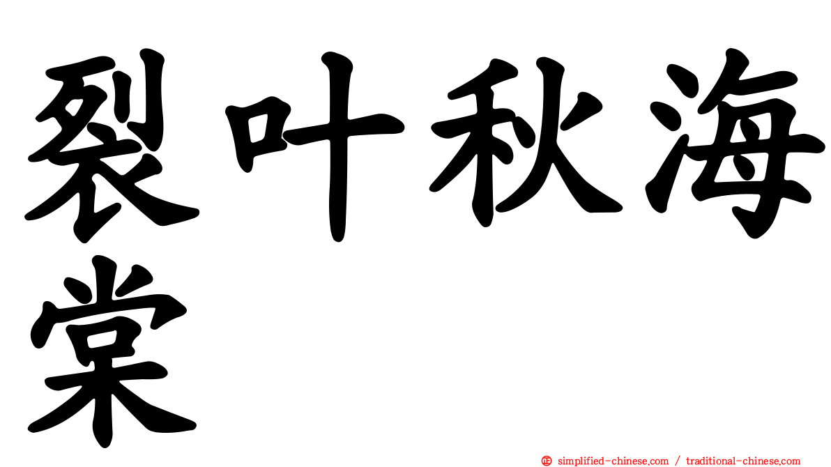 裂叶秋海棠