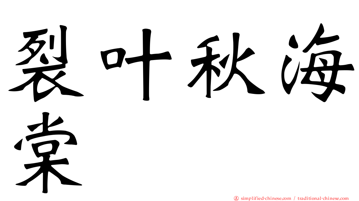 裂叶秋海棠