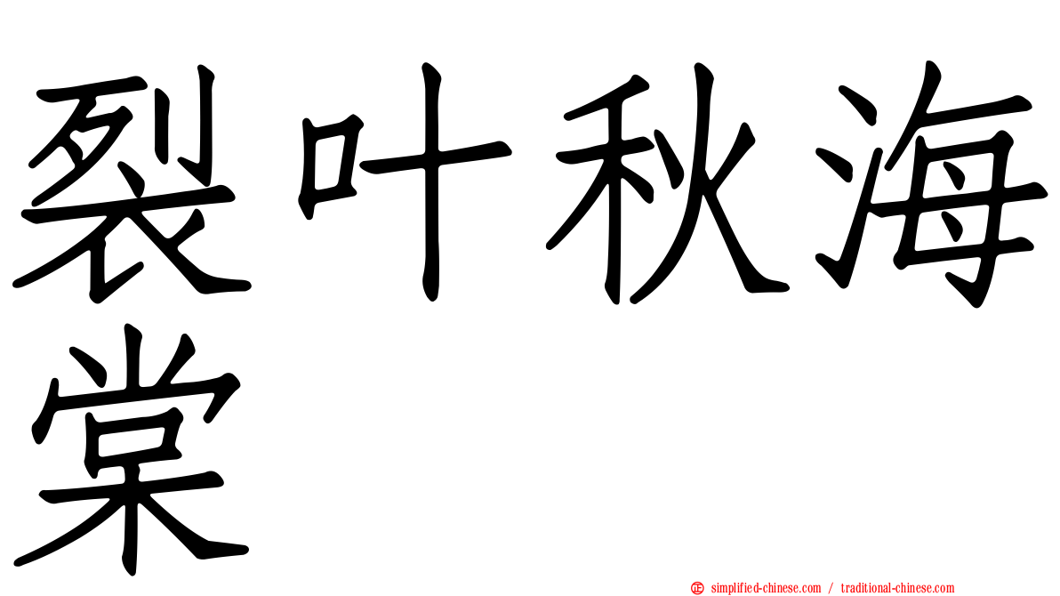 裂叶秋海棠