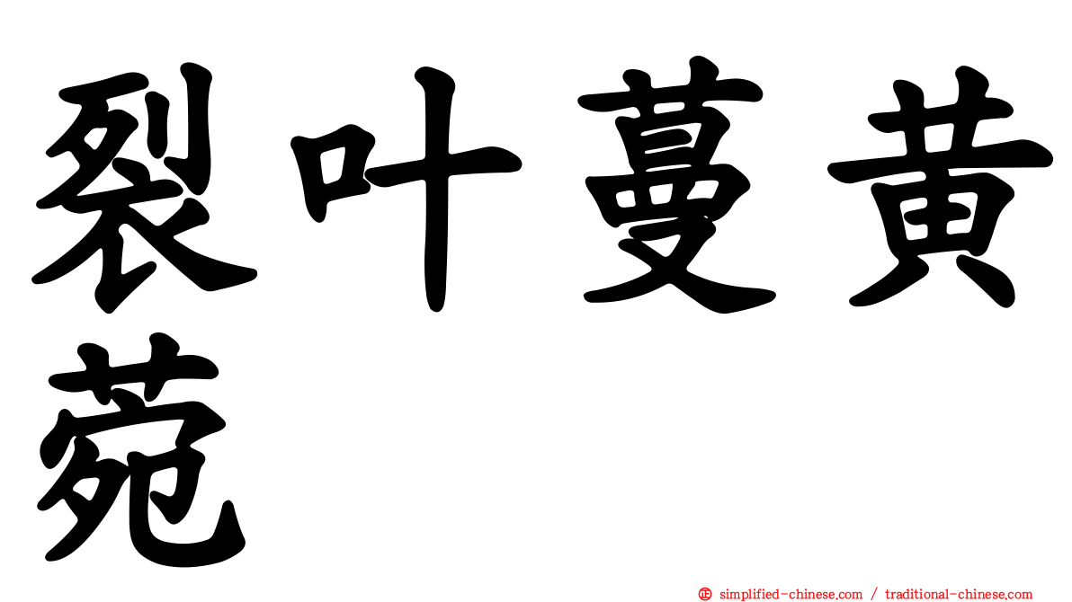 裂叶蔓黄菀