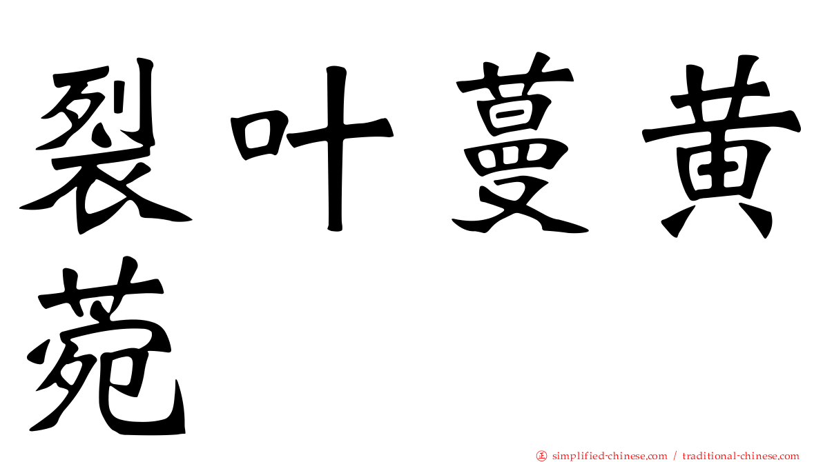 裂叶蔓黄菀