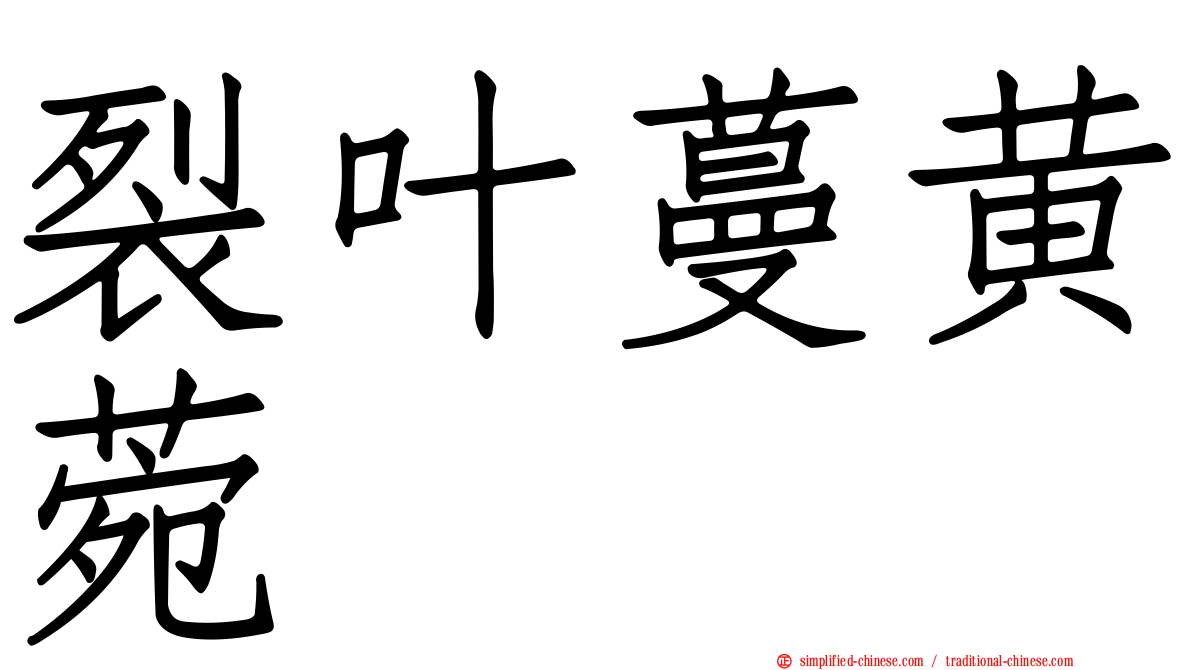 裂叶蔓黄菀