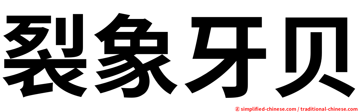 裂象牙贝