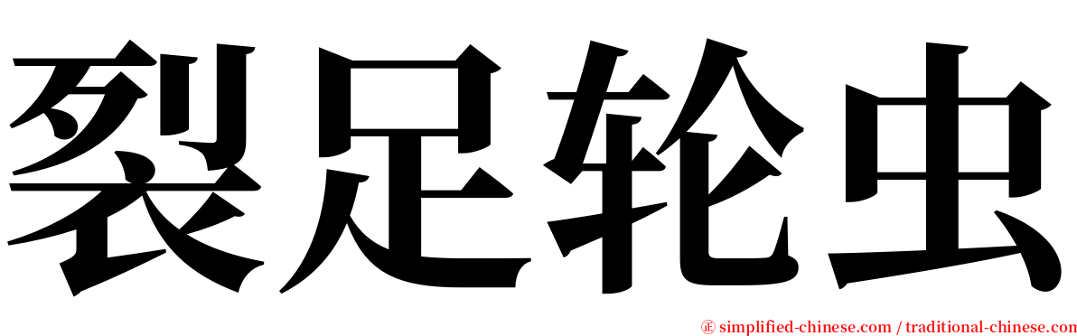裂足轮虫 serif font