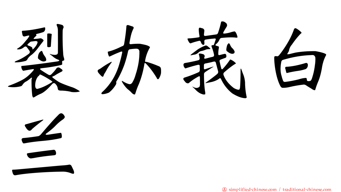 裂办莪白兰