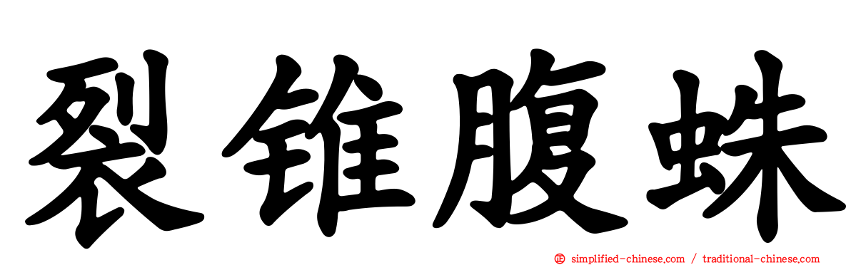 裂锥腹蛛