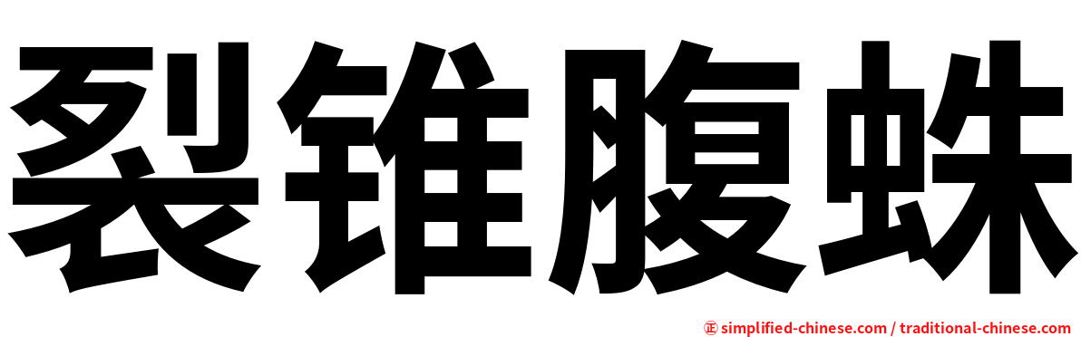裂锥腹蛛