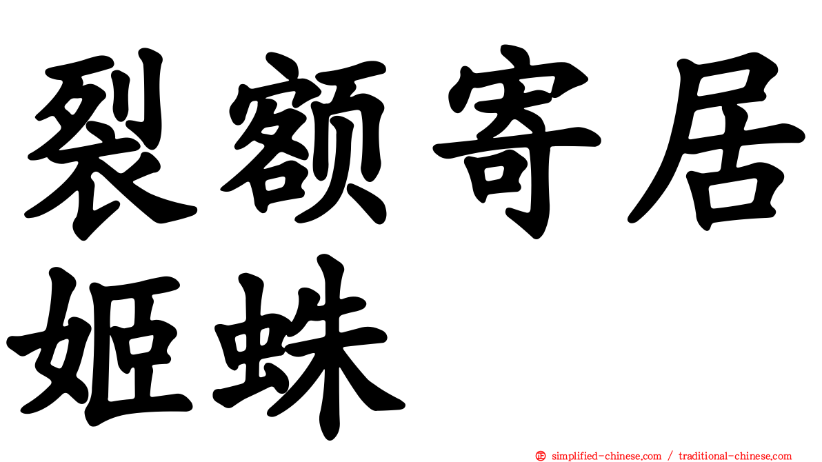 裂额寄居姬蛛