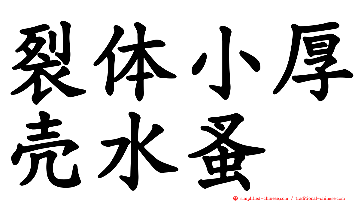 裂体小厚壳水蚤