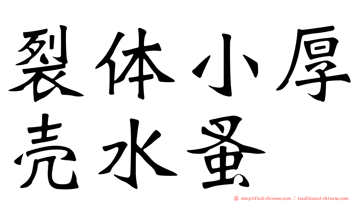 裂体小厚壳水蚤