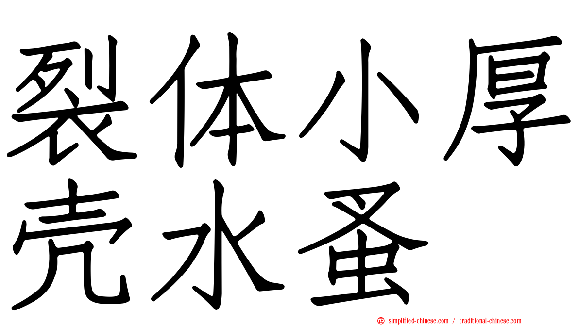 裂体小厚壳水蚤