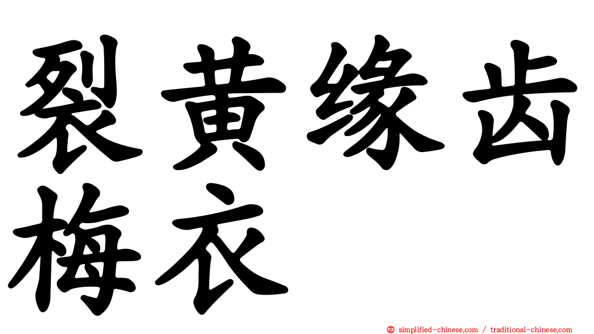 裂黄缘齿梅衣