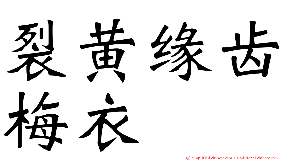 裂黄缘齿梅衣