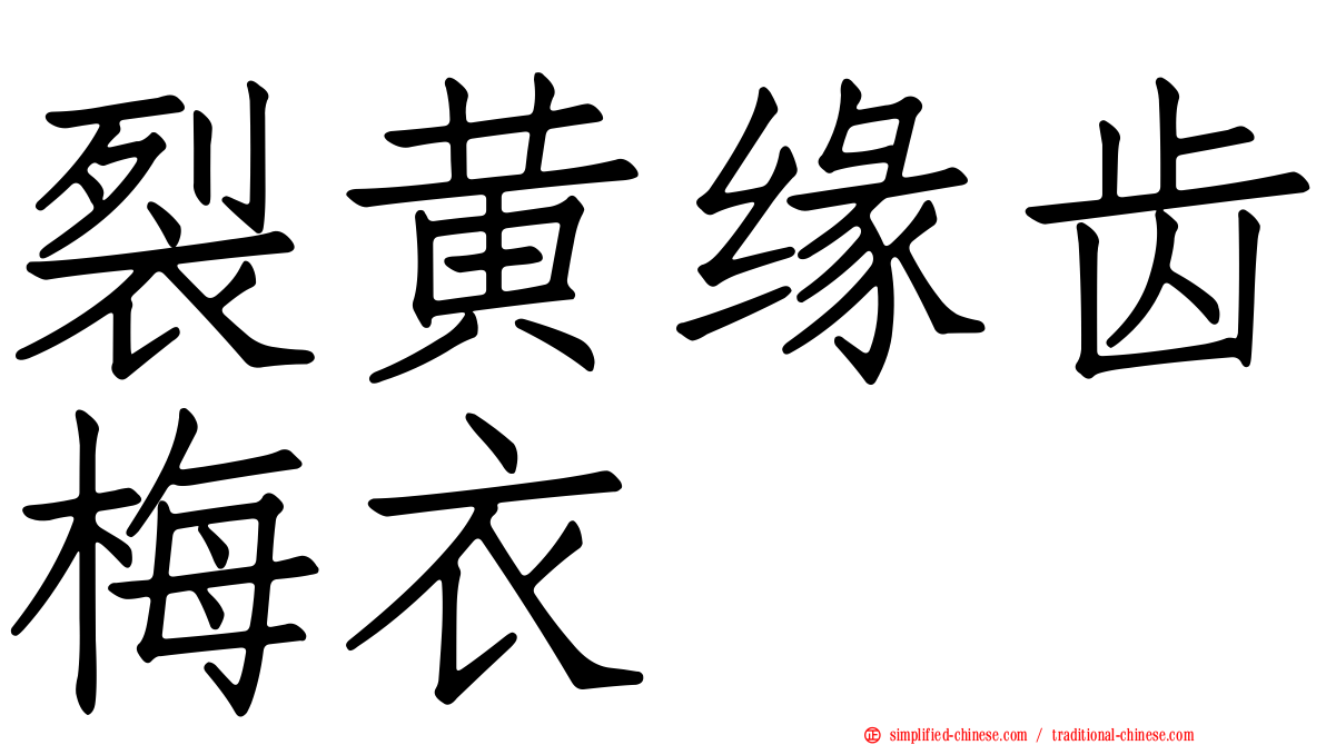 裂黄缘齿梅衣