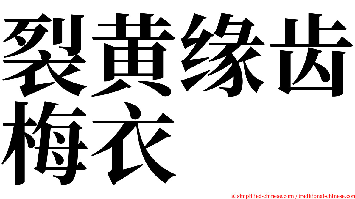 裂黄缘齿梅衣 serif font