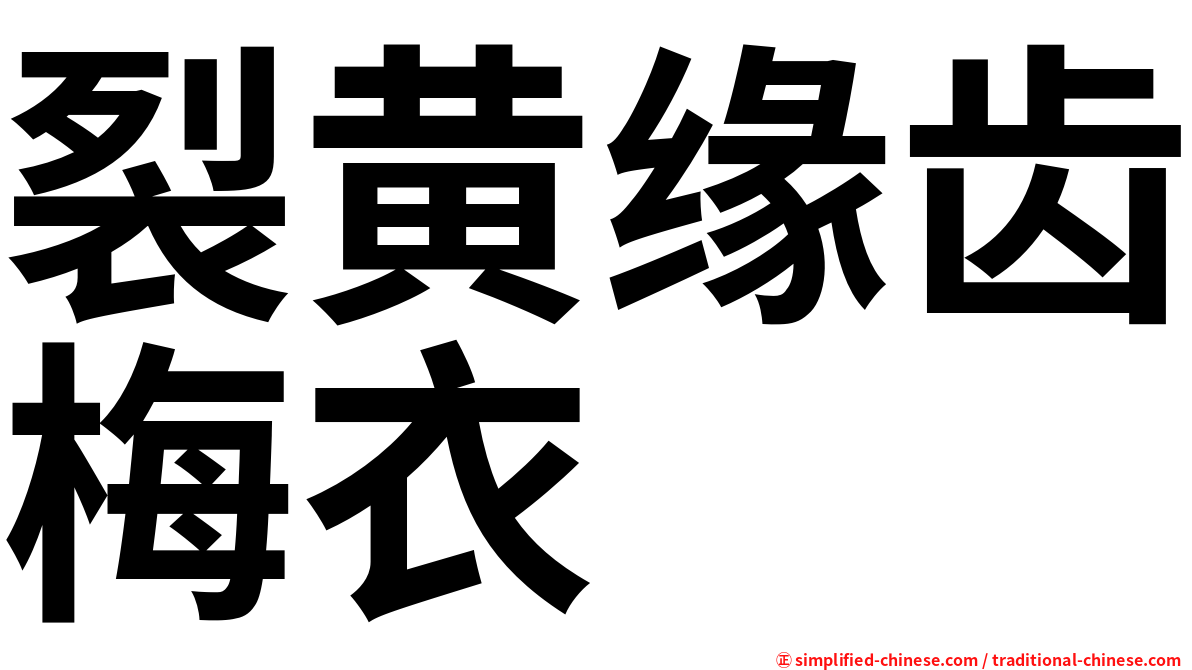 裂黄缘齿梅衣