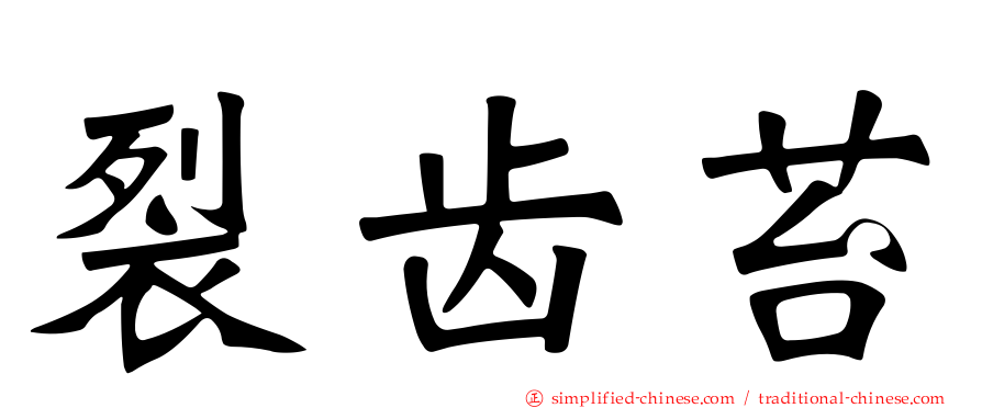 裂齿苔