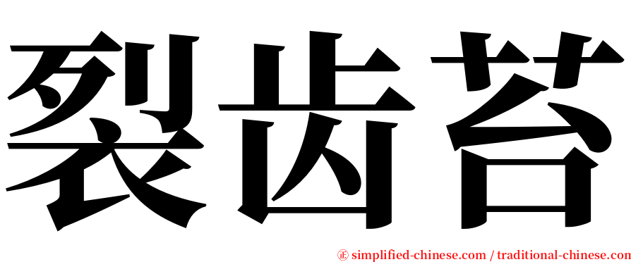 裂齿苔 serif font