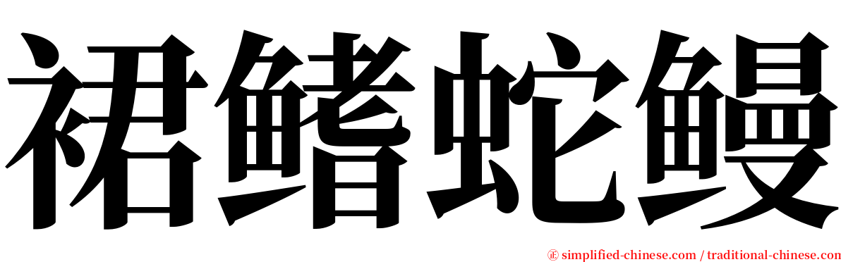 裙鳍蛇鳗 serif font