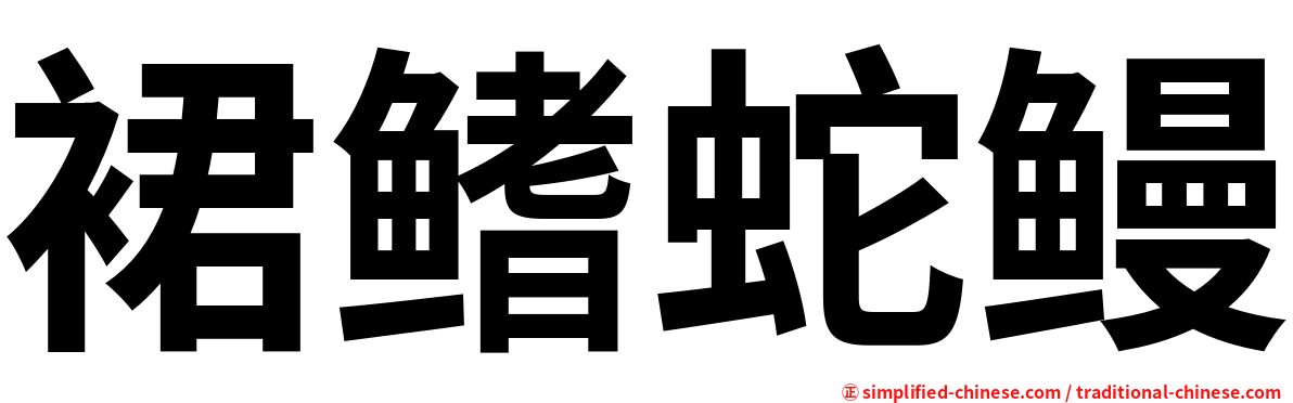 裙鳍蛇鳗