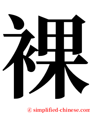 裸 serif font