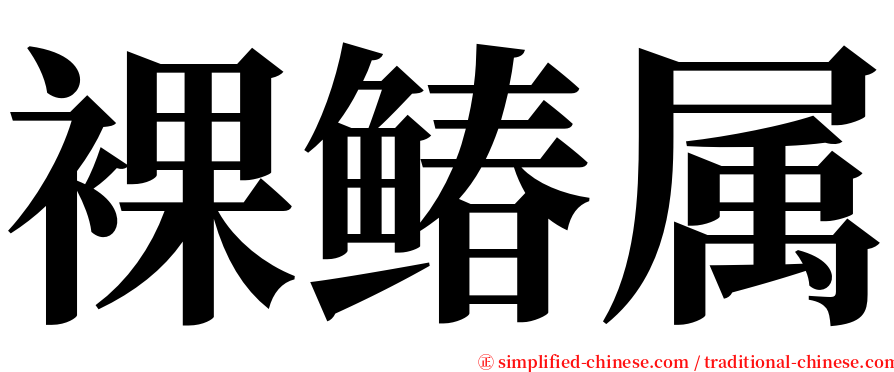 裸䲠属 serif font