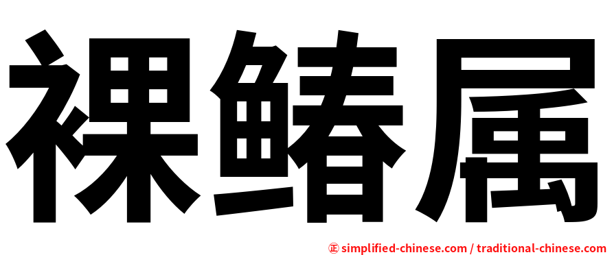 裸䲠属