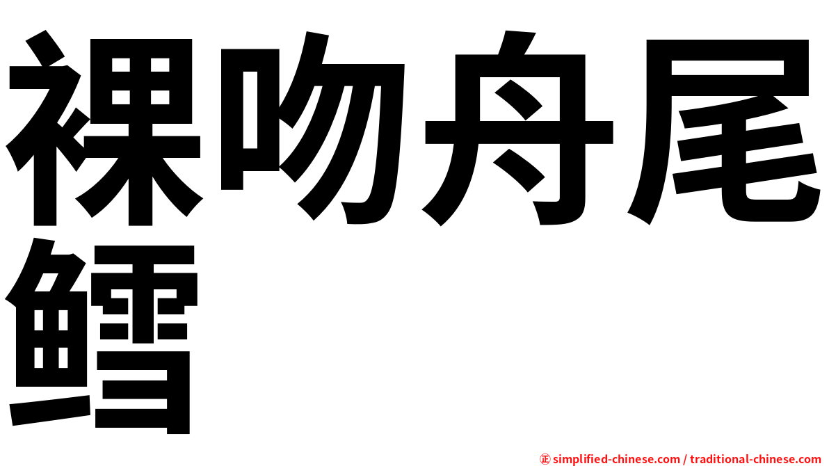 裸吻舟尾鳕