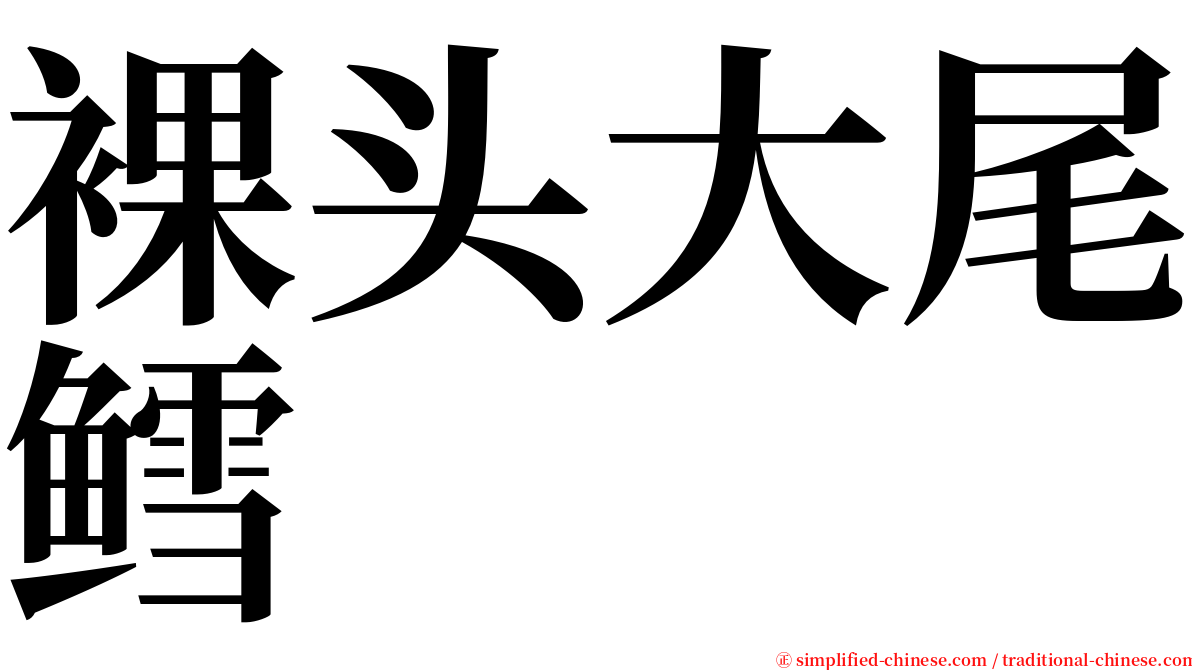 裸头大尾鳕 serif font
