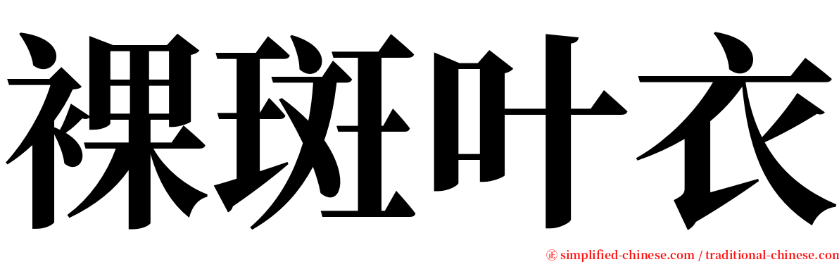裸斑叶衣 serif font