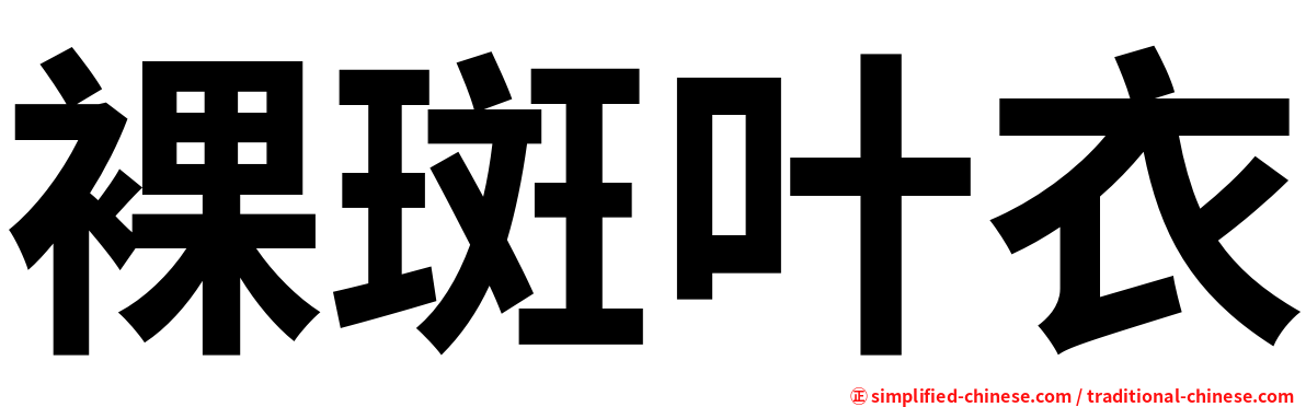 裸斑叶衣