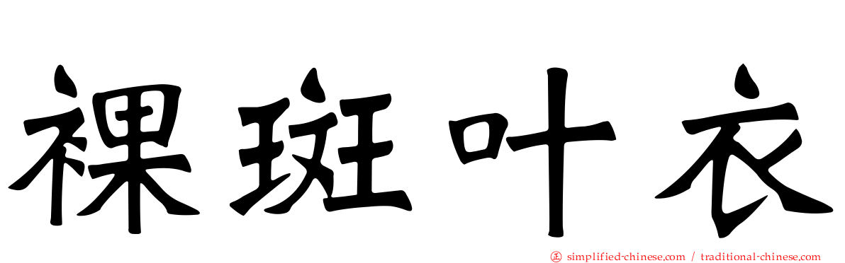 裸斑叶衣