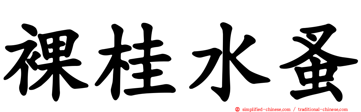 裸桂水蚤