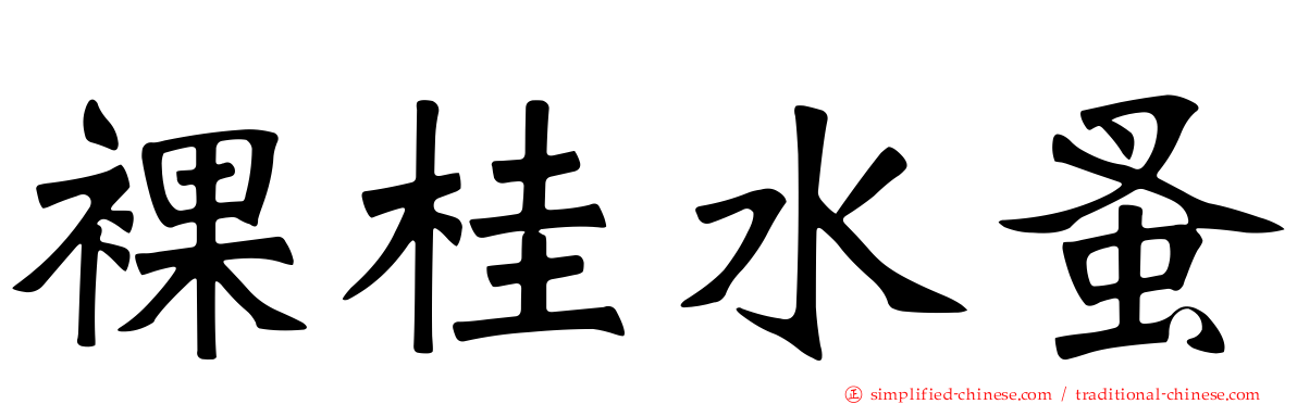裸桂水蚤