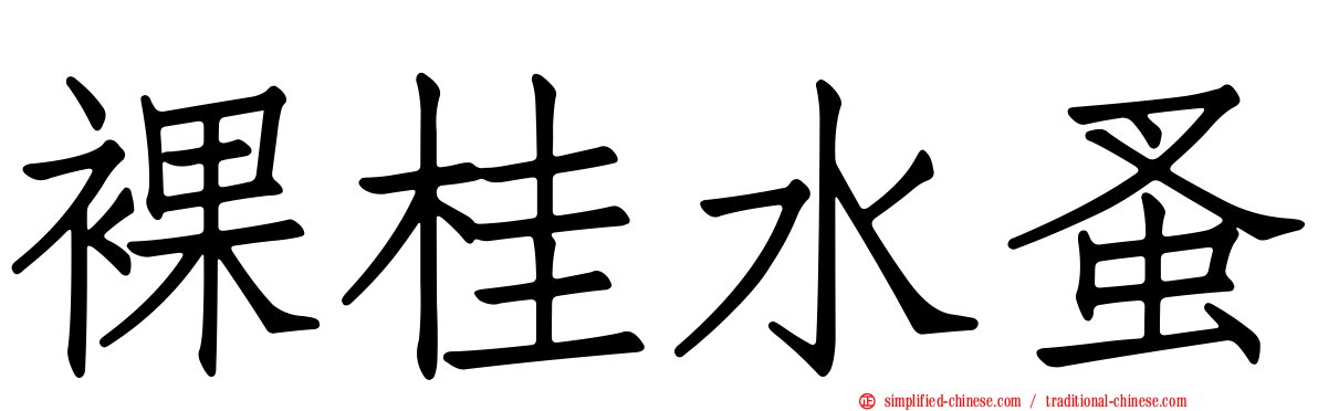 裸桂水蚤