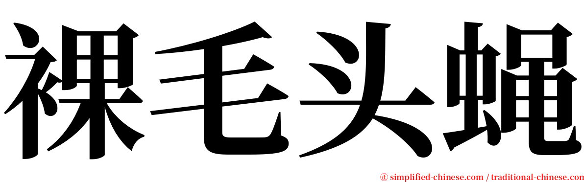裸毛头蝇 serif font