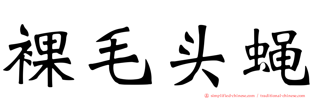 裸毛头蝇