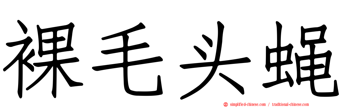 裸毛头蝇