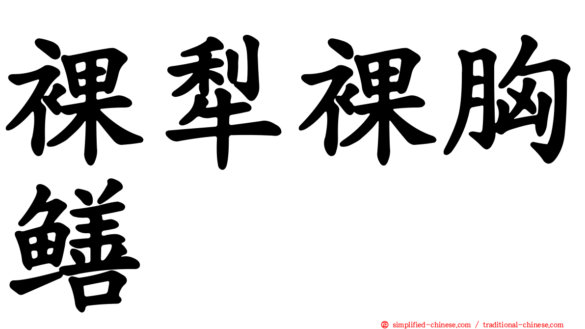 裸犁裸胸鳝
