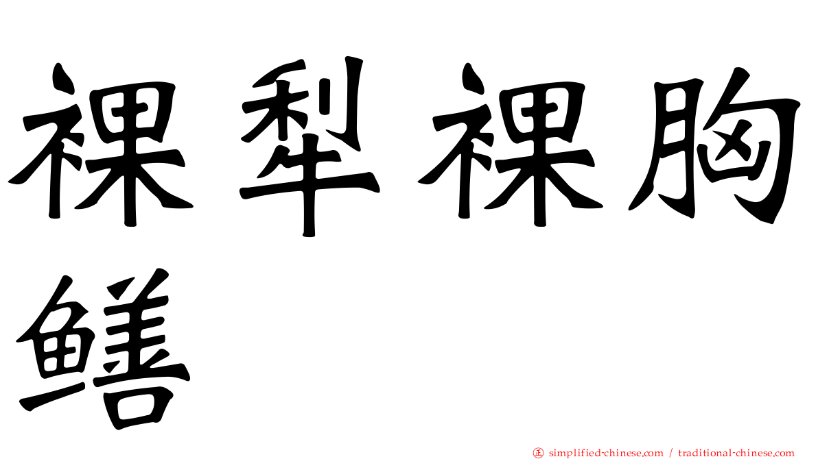 裸犁裸胸鳝