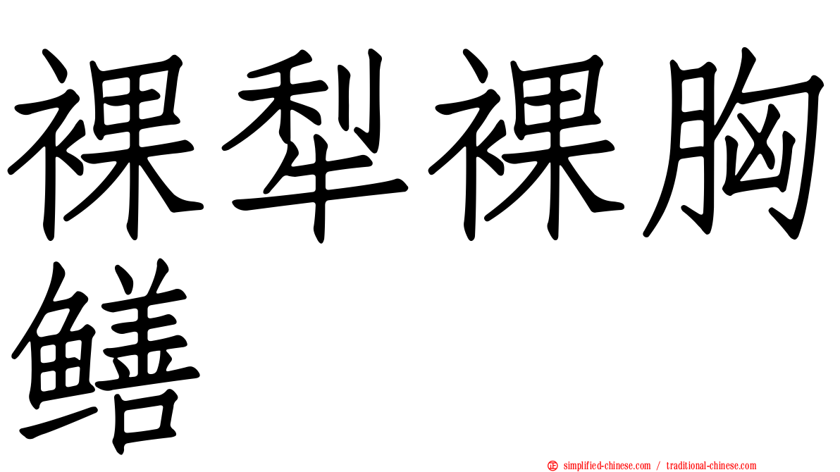 裸犁裸胸鳝
