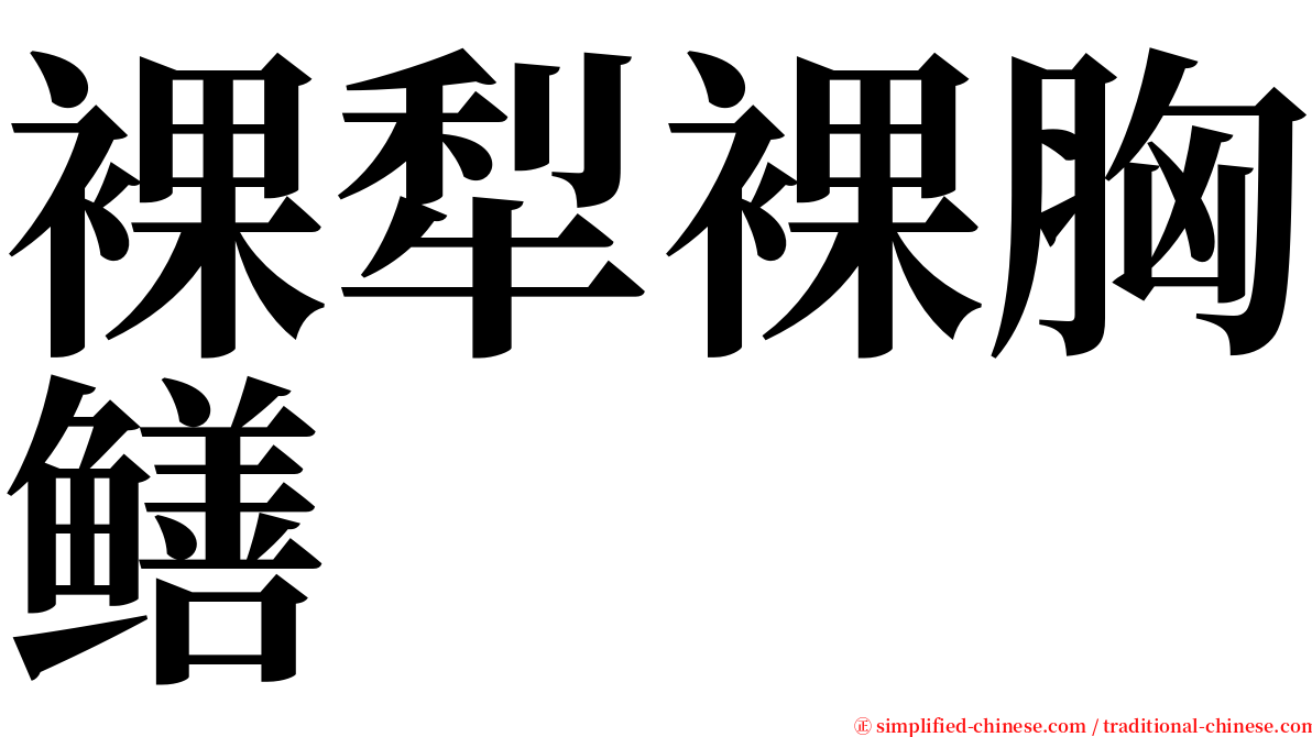 裸犁裸胸鳝 serif font