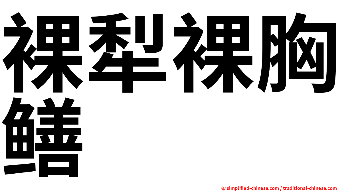 裸犁裸胸鳝