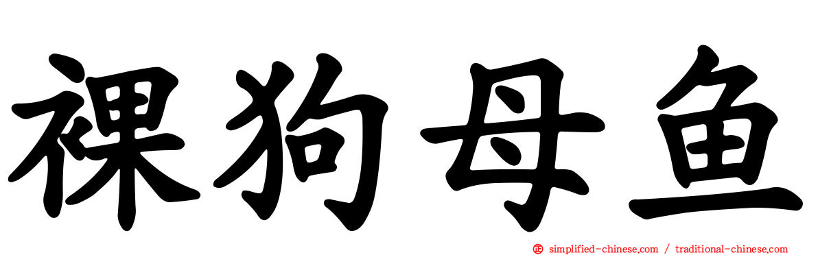 裸狗母鱼
