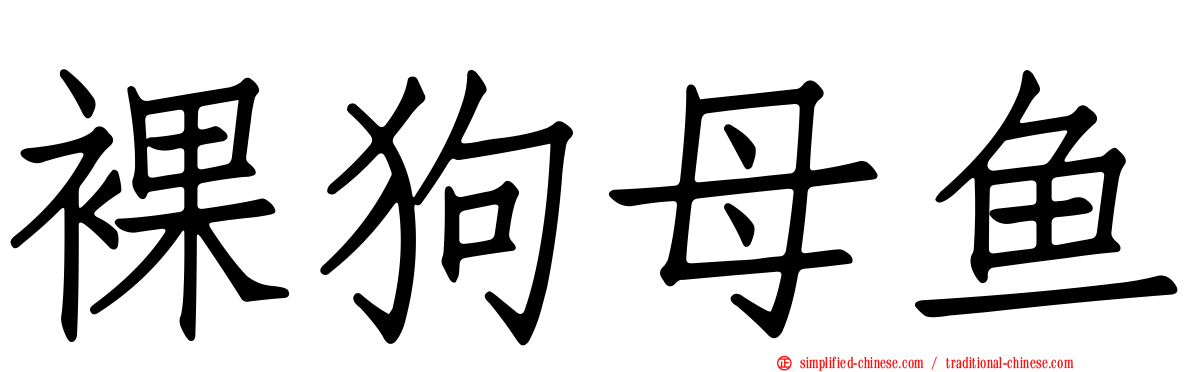 裸狗母鱼