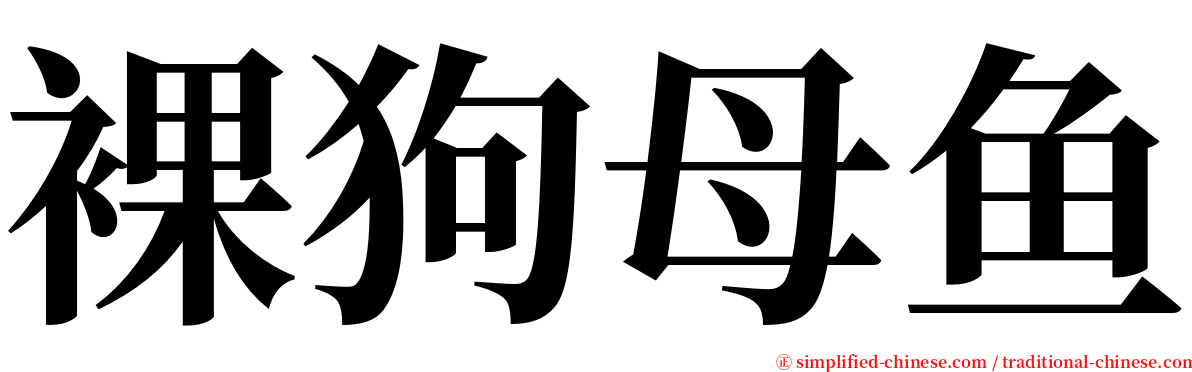 裸狗母鱼 serif font
