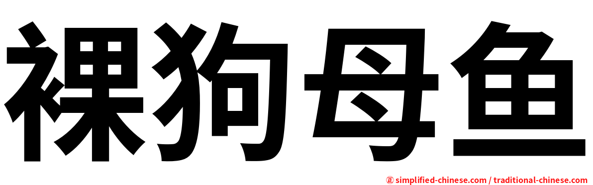 裸狗母鱼
