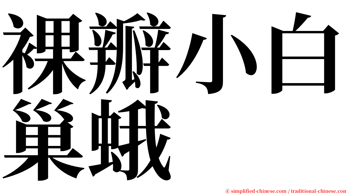 裸瓣小白巢蛾 serif font