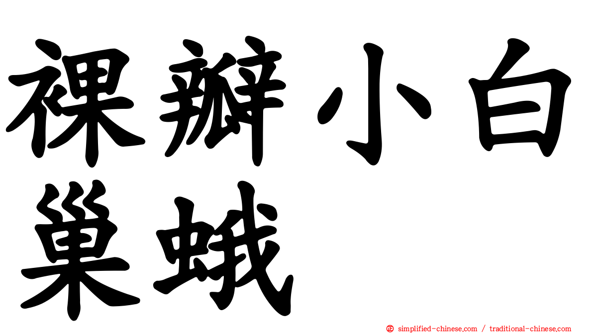 裸瓣小白巢蛾
